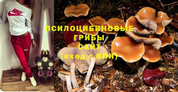 наркотики Заводоуковск