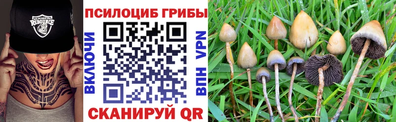 Купить закладки  Владикавказ  Галлюциногенные грибы Cubensis 