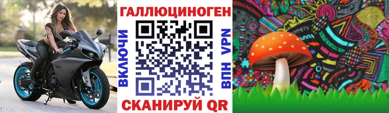 Псилоцибиновые грибы MAGIC MUSHROOMS Владикавказ
