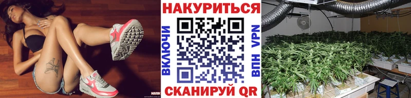 Бошки марихуана ГИДРОПОН  Купить закладки  Владикавказ 
